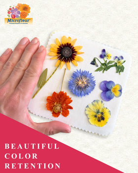 Microfleur press creates frame-worthy dried flower displays