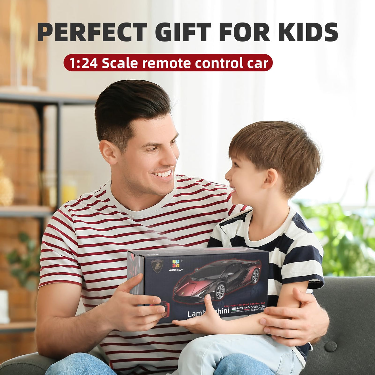 MIEBELY Lamboghini RC car ideal gift for kids and adult collectors.