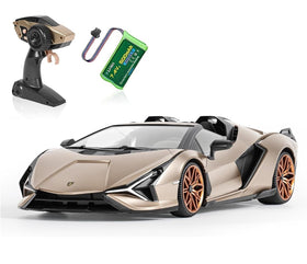MIEBELY Lamborghini RC car front view with champagne finish and licensed branding.