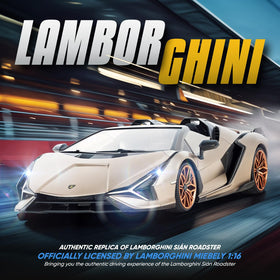 Side profile of the MIEBELY 1:16 Lamborghini RC car showing authentic styling.