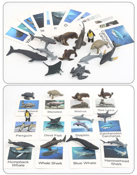 MIKNEKE Montessori cards pair with figures to support matching skills.