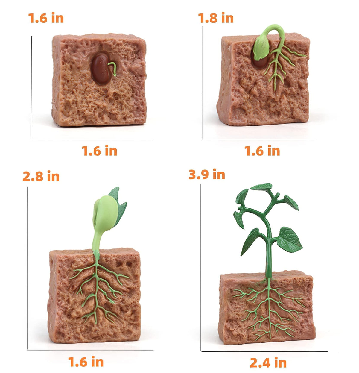 MIKNEKE insect figures close-up highlights realistic growth stages.