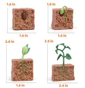 MIKNEKE insect figures close-up highlights realistic growth stages.