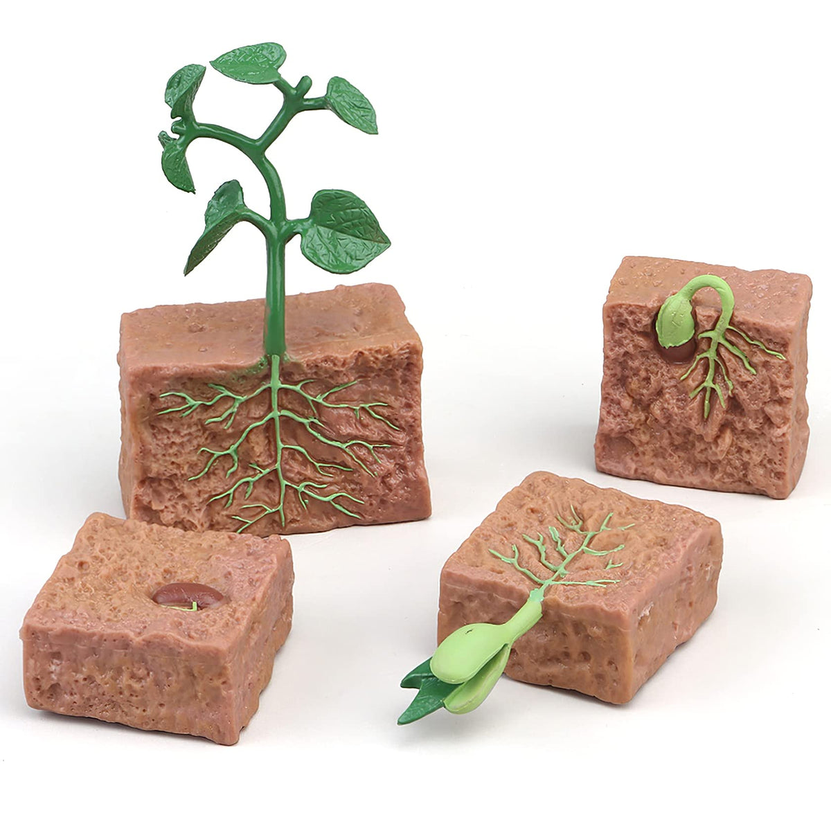 MIKNEKE life cycle bee toy demonstrates pollination-inspired growth through play.