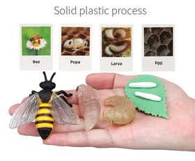 MIKNEKE Montessori card set for matching games in preschool settings.