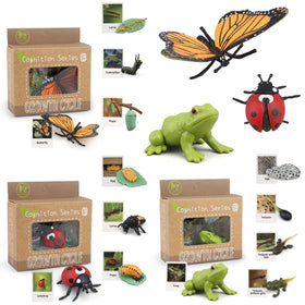 MIKNEKE life-cycle butterfly figure for hands-on identification and early science exploration.