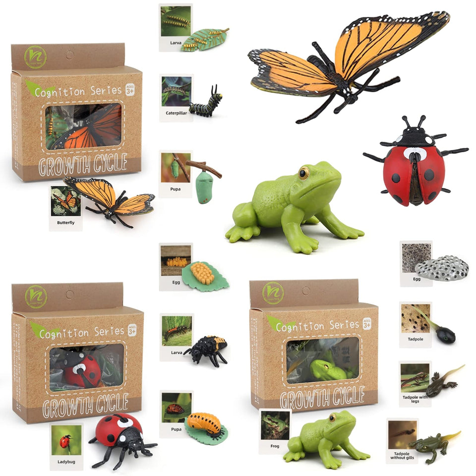 MIKNEKE life-cycle butterfly figure for hands-on identification and early science exploration.