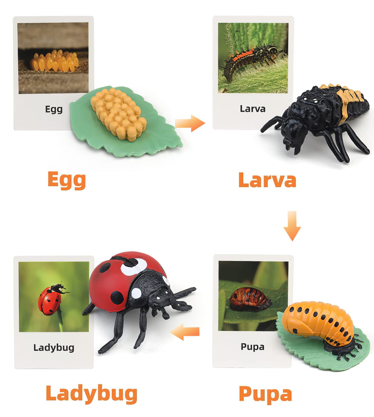 MIKNEKE flash cards reinforce matching and sequencing during group learning sessions.