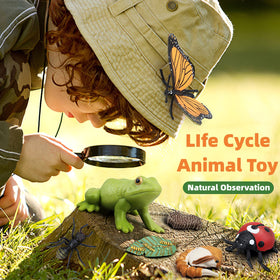 MIKNEKE perfect for preschool learning and classroom storytelling activities.