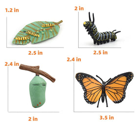 MIKNEKE safe materials ensure kid-friendly, durable learning tools.
