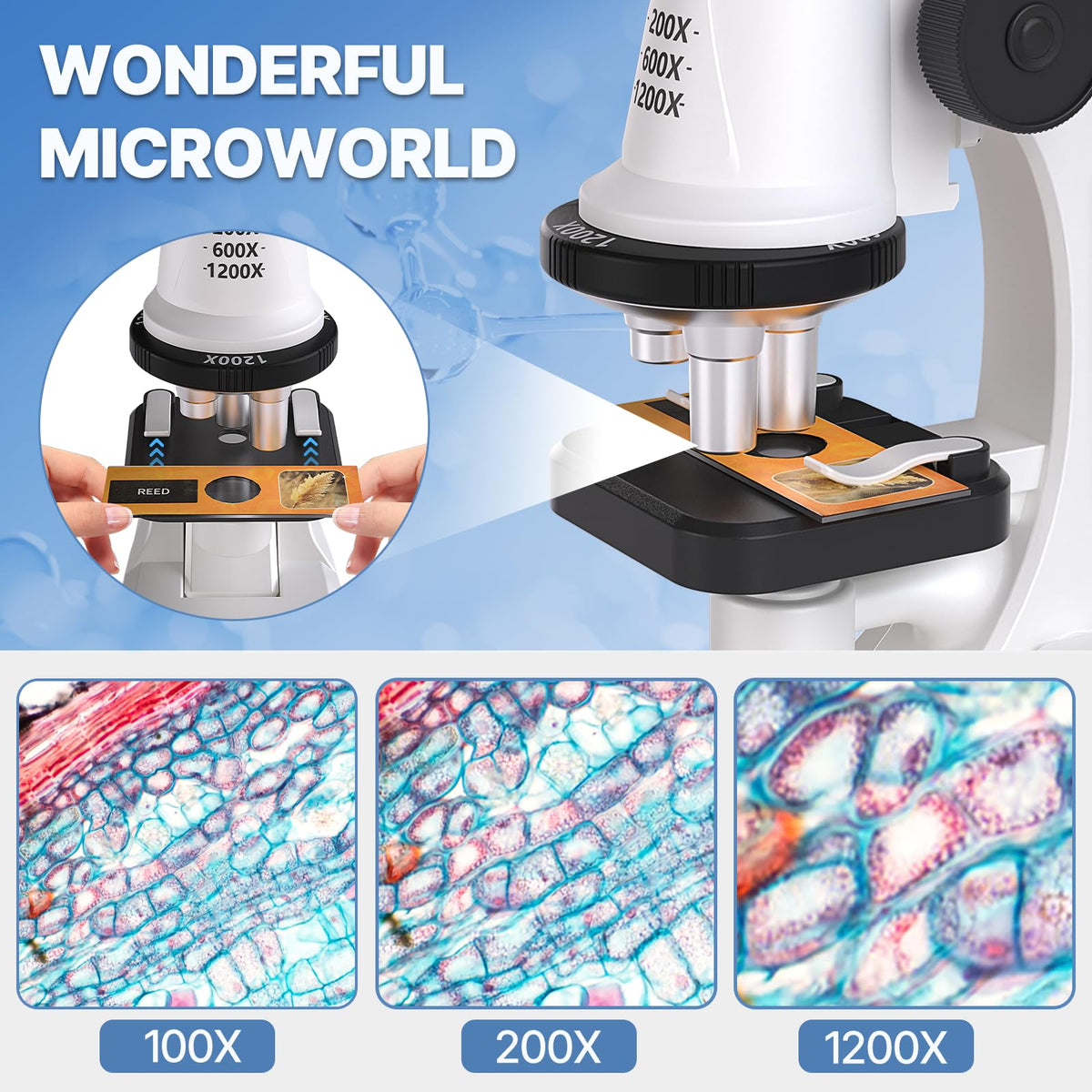 Mileonaim tweezers and scalpel enable precise sample handling