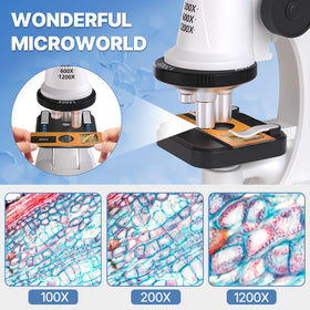 Mileonaim tweezers and scalpel enable precise sample handling