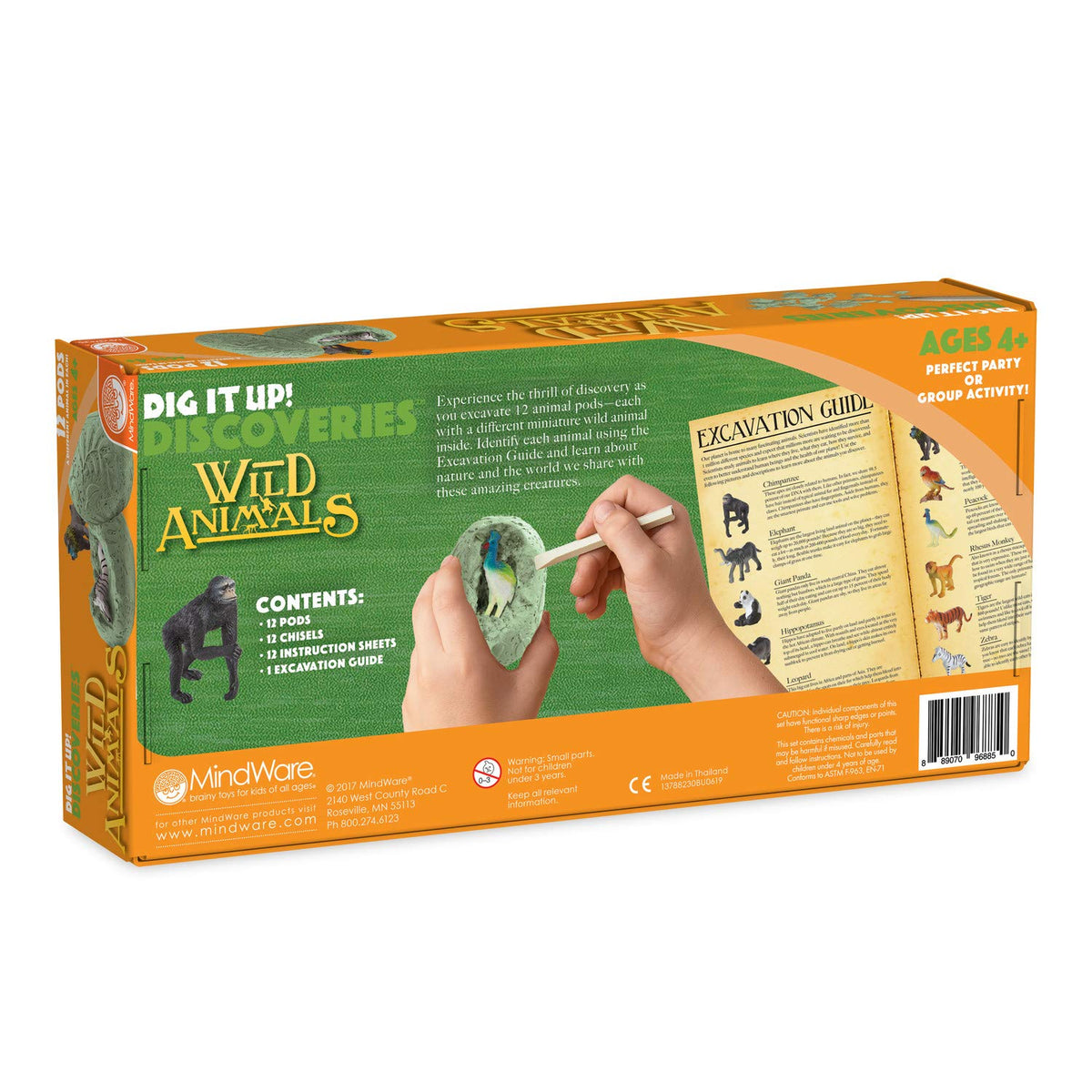 MindWare Dig It Up! classroom activity promoting group learning and hands-on science.