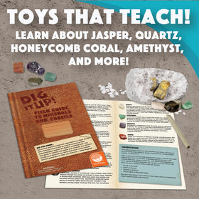 MindWare Dig It Up! Fossils & Minerals Excavation Guidebook supports curious minds.