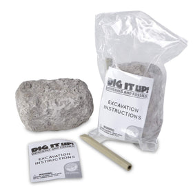 MindWare Dig It Up! Fossils & Minerals soaking stone reveals hidden treasures.