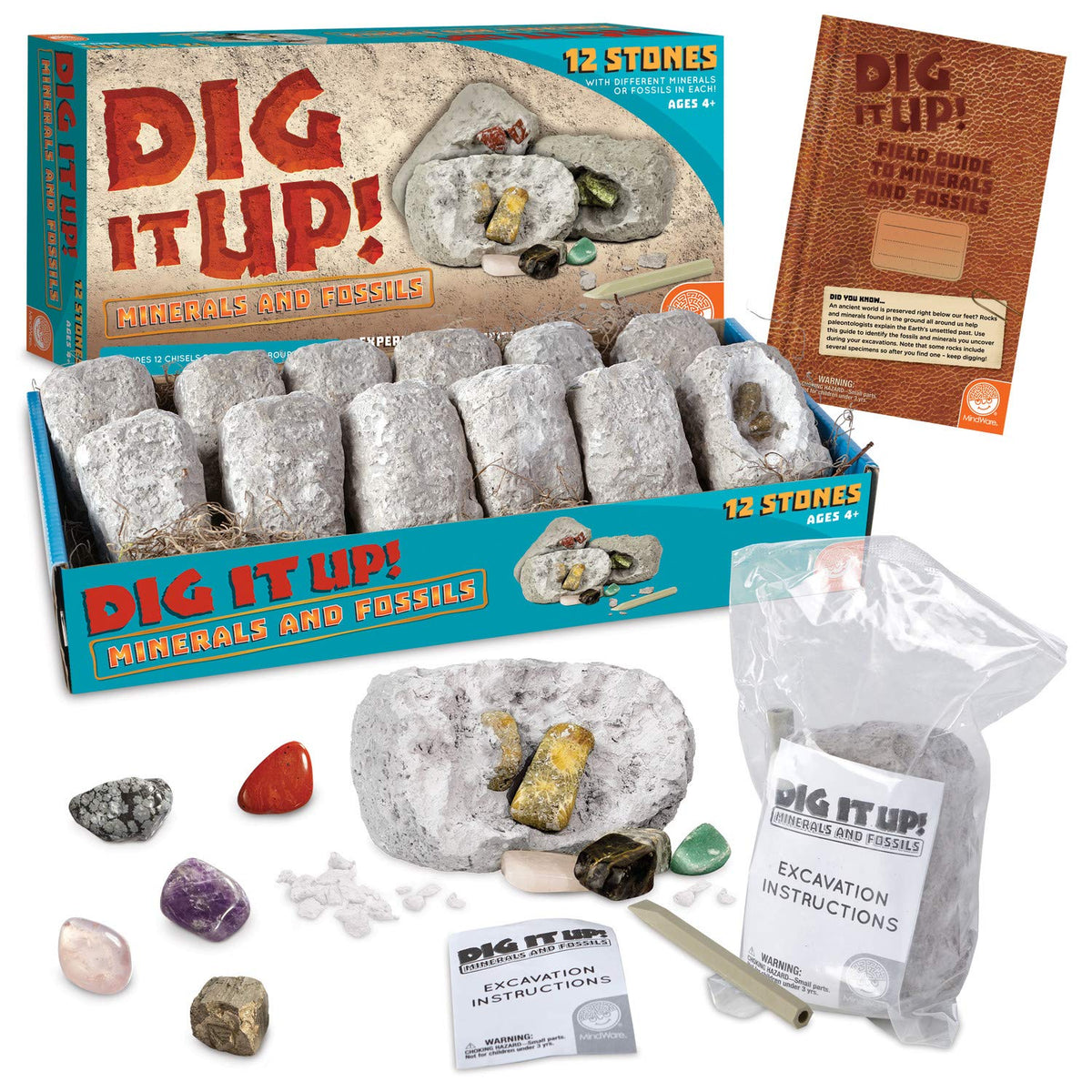 MindWare Dig It Up! Fossils & Minerals stones ready for discovery during a hands-on excavation.