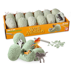 MindWare Dig It Up! instruction sheets guiding simple, engaging science play.