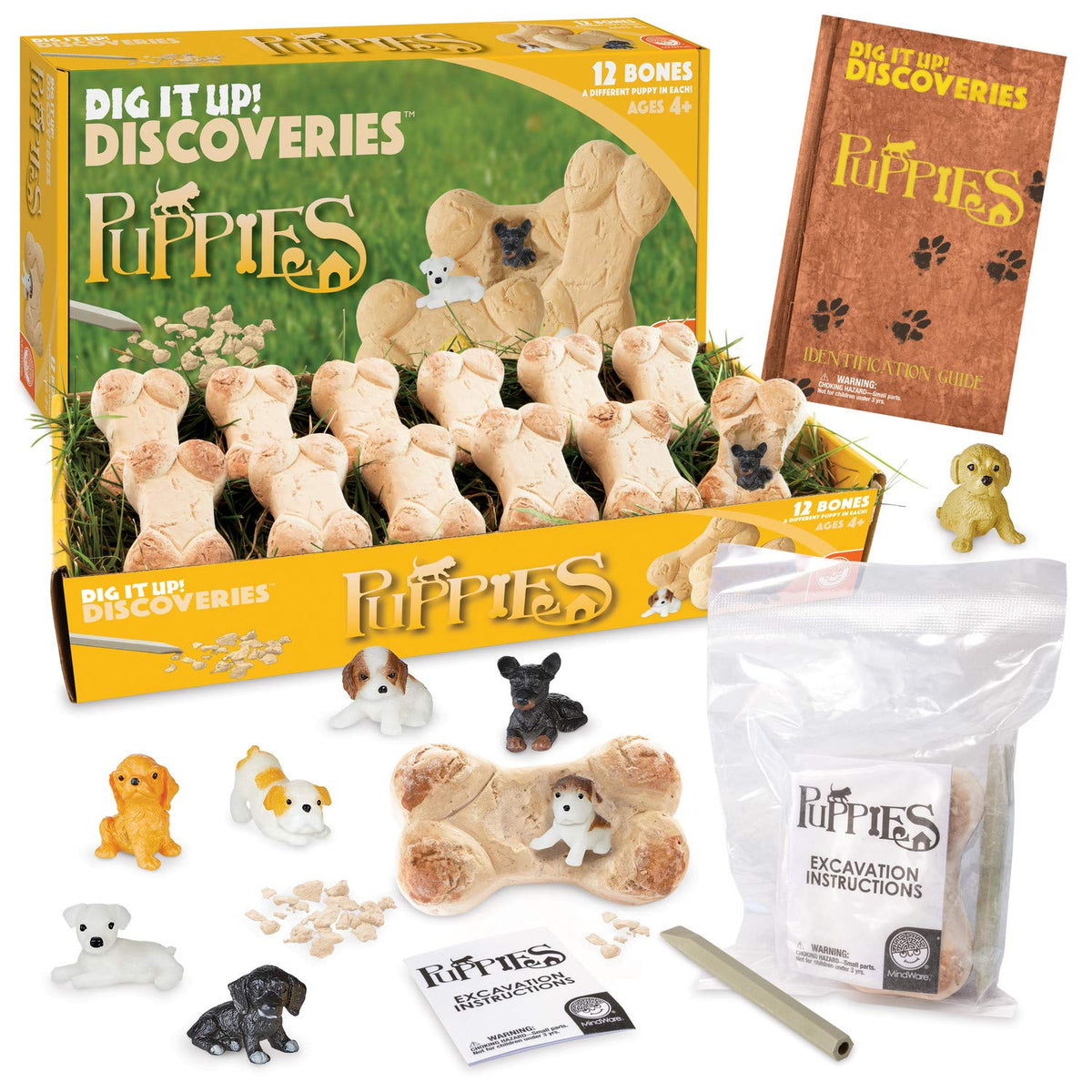 MindWare Dig It Up! bone before soak shows the clay block ready for discovery.