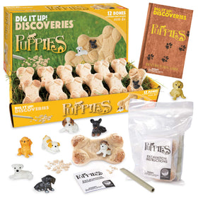 MindWare Dig It Up! bone before soak shows the clay block ready for discovery.
