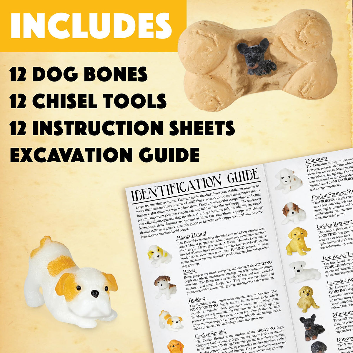 MindWare Dig It Up! guidebook included for breed traits and growth classification.