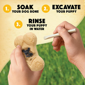 MindWare Dig It Up! excavation guidebook supports learning breed traits and growth.