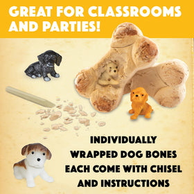 MindWare Dig It Up! miniature puppy emerges during hands-on excavation play.