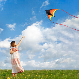Mint's Colorful Life complete kit includes handles and 300 ft line.