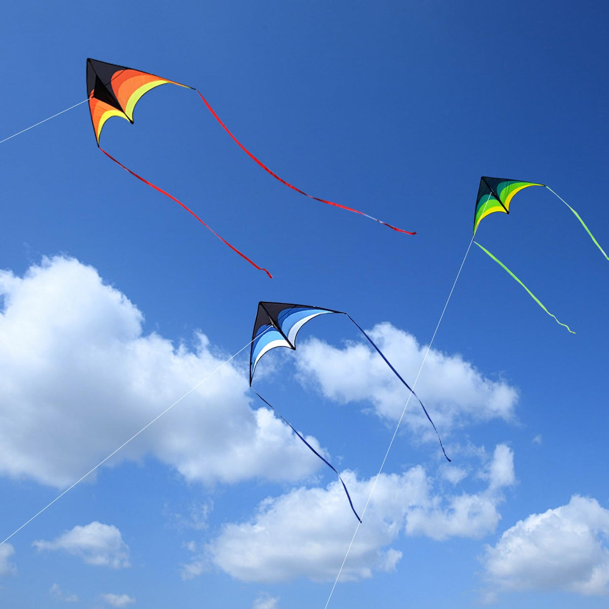 Mint's Colorful Life kites on a beach scene showing sunny outdoor fun.