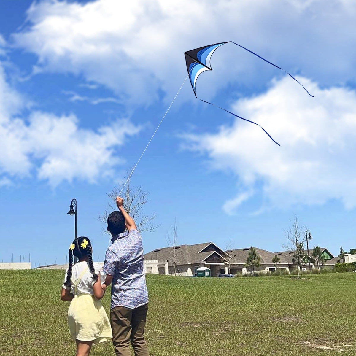 Mint's Colorful Life delta kites easy to fly for beginners and kids.