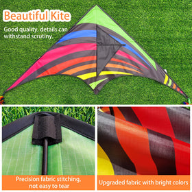 Mint's Colorful Life four-color delta kites display vibrant variety for eye-catching performances.