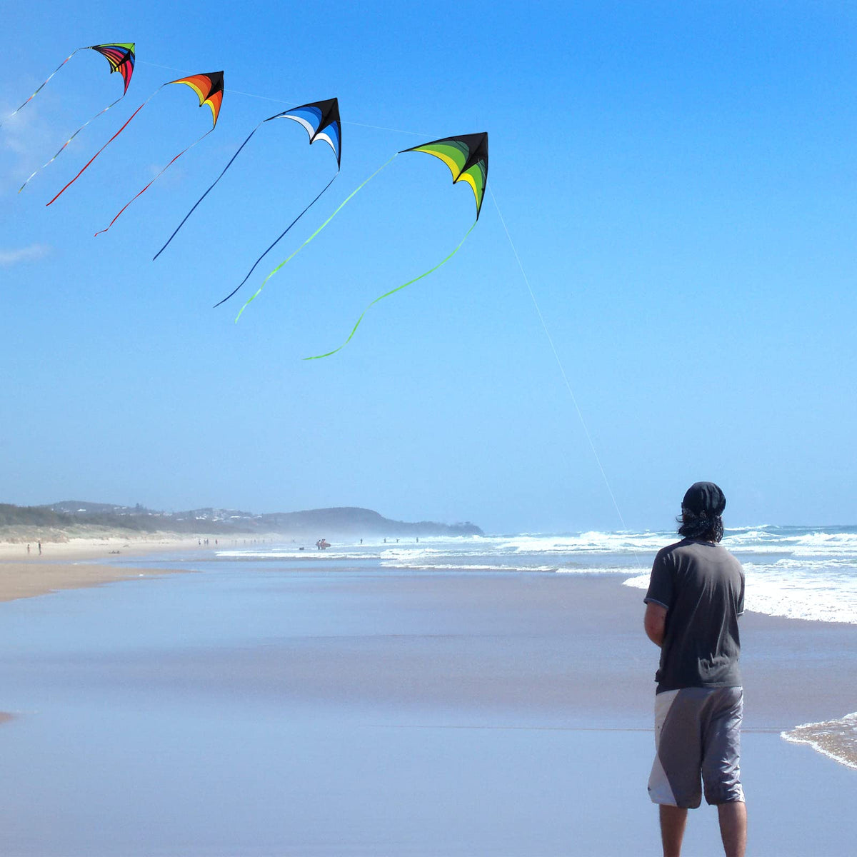 Mint's Colorful Life wind-ready delta kites maintain stability and visual appeal during flight.