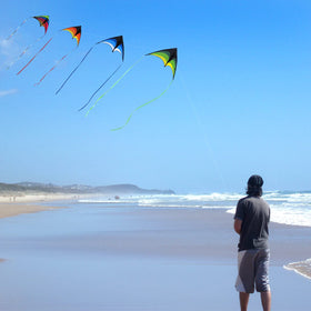Mint's Colorful Life wind-ready delta kites maintain stability and visual appeal during flight.