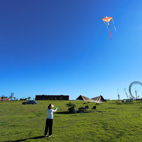 Mint's Colorful Life dragon kite gift idea for kids and families on sunny outings.