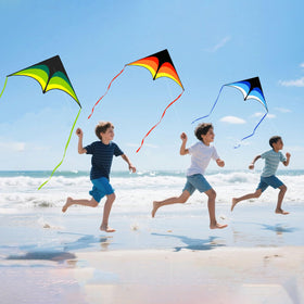 Mint's Colorful Life delta kite blue, ideal for beginners.