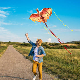 Mint's Colorful Life dragon kite red glides smoothly in light breeze, ideal for beginners.