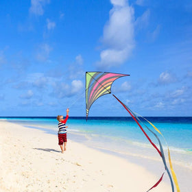 Mint's Colorful Life Family kite flying outdoors, building memories.