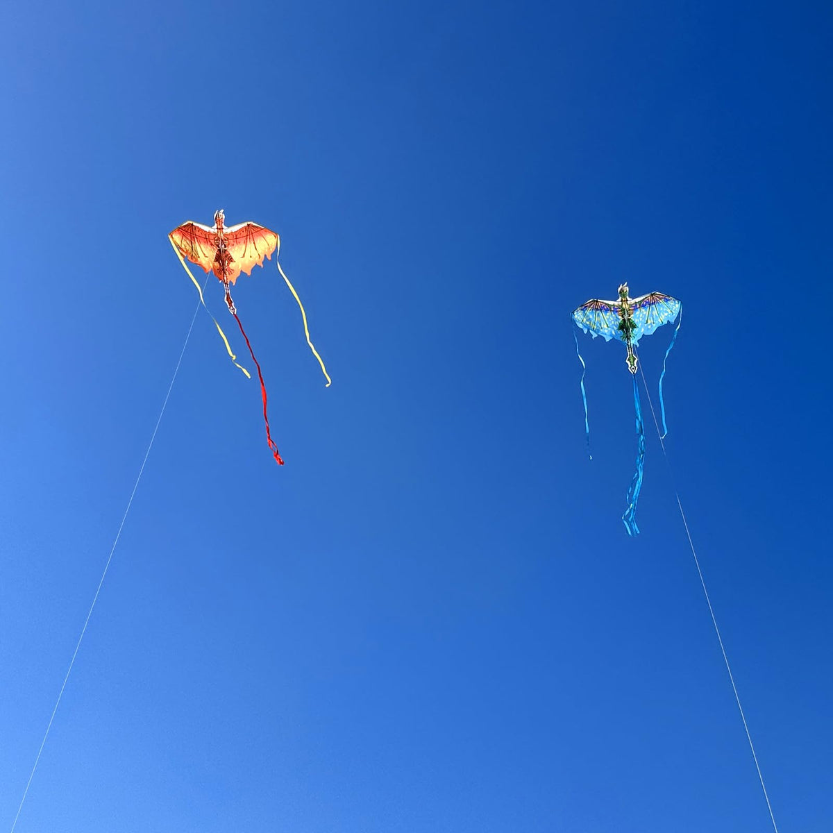 Mint's Colorful Life dragon kite folds into a compact bag for trips.