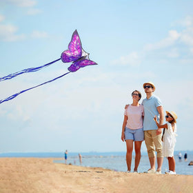Mint's Colorful Life butterfly kite in action on a sunny day.