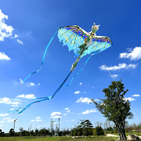 Mint's Colorful Life dragon kite ready to fly after quick setup on sunny days.