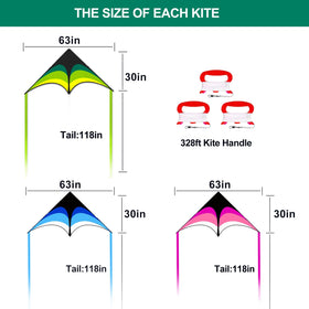 Mint's Colorful Life delta kite in pink enjoys breezy beach play