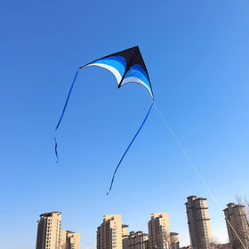 Mint's Colorful Life easy-assembly kite for family beach outings.