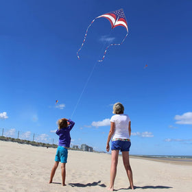 Mint's Colorful Life bright colors delta kite stands out in the sky.