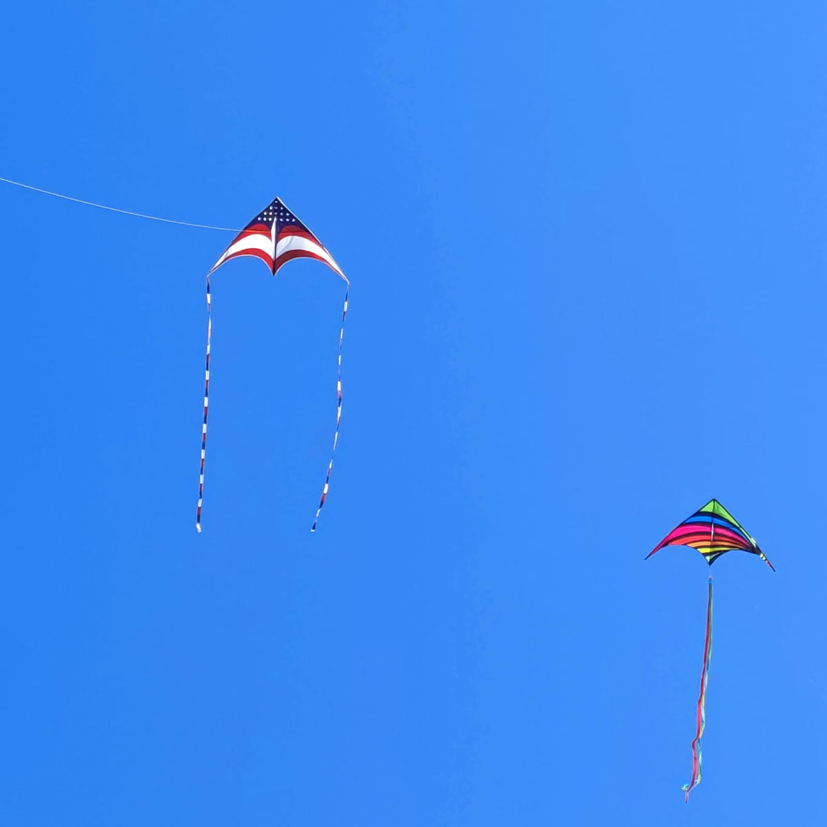 Mint's Colorful Life family-friendly kite for outdoor moments.