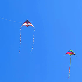 Mint's Colorful Life family-friendly kite for outdoor moments.