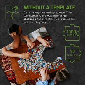 Misu ten-category puzzle collection image with varied themes.