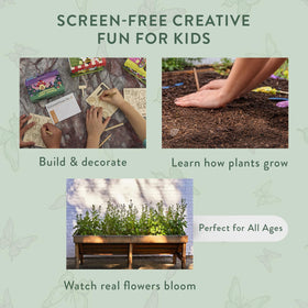 Butterfly Story Garden seeds offer a colorful, pollinator-friendly indoor garden.