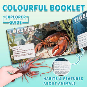 MOEAWS coral pieces and booklet support ocean learning during play.