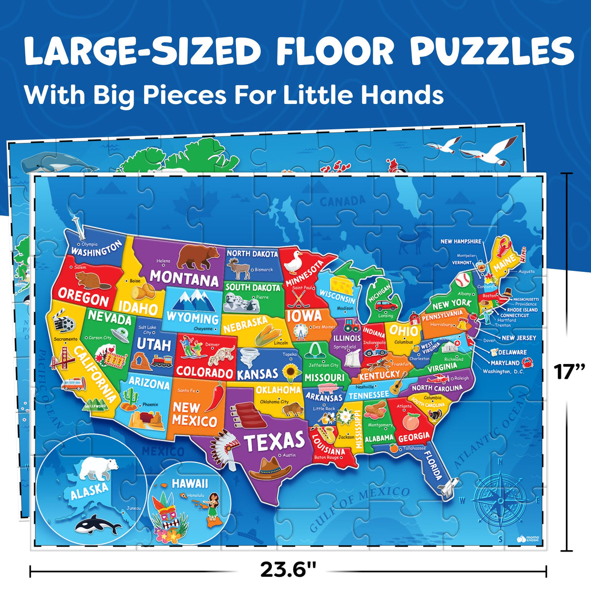 Momo Nashi USA map puzzle 145 pieces to boost state recognition and spatial skills