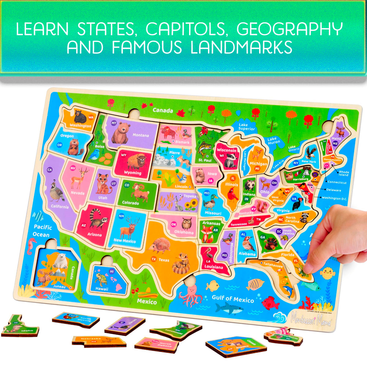 Montessori Mama USA States Capitals puzzle enabling geography learning and capitals practice
