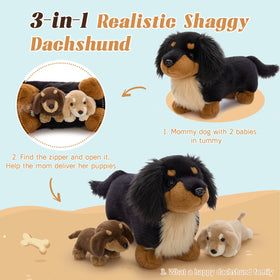 MorisMos dachshund longhair eyes and nose detail for realism